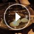 Iy3000062043_70