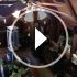 Sp147972395_70