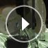 Sp16693871_70