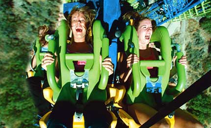 New Theme Park Attractions