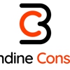 Brisendine Consulting gallery