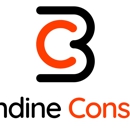 Brisendine Consulting - Computer Software Publishers & Developers