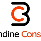 Brisendine Consulting