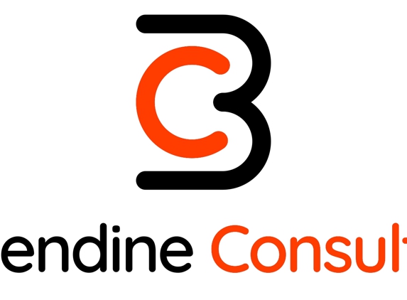 Brisendine Consulting - Grapevine, TX