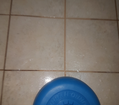 SA Carpet & Tile Cleaning