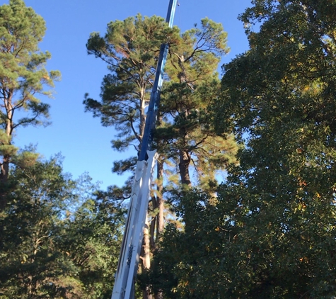 Weaver's Tree Service And Stump Removal - White Hall, AR