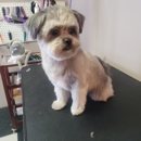 Kathie's Doggie Detailer - Pet Grooming