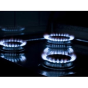 Gallery Image Number 8