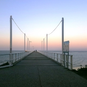 Gallery Image Number 4