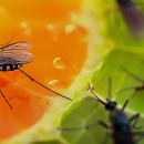 Good Day Pest Control - Pest Control Equipment & Supplies