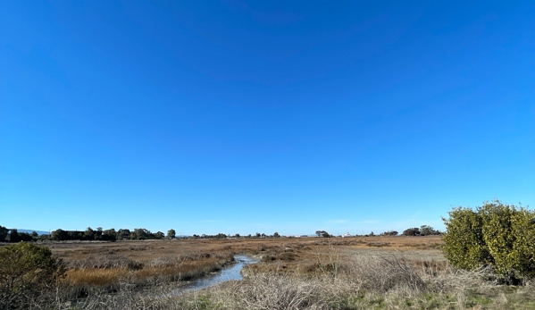 Byxbee Park - Palo Alto, CA