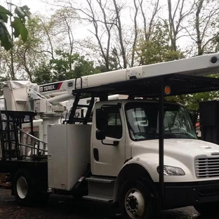 Traditional Tree Service - Smithtown, NY