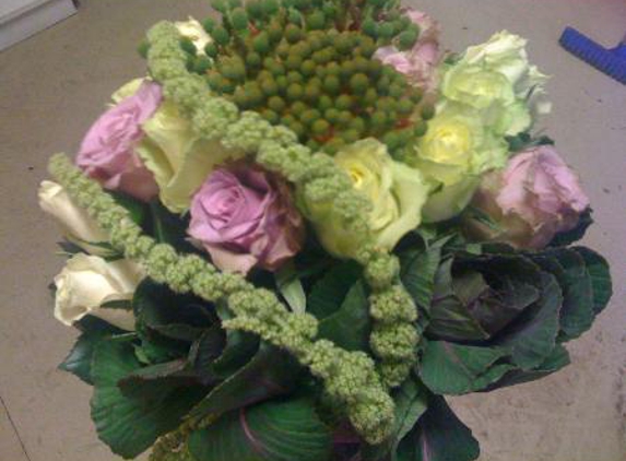 Blooms Florist - Taree, NSW