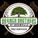 Branch Brothers Greenville - Arborists
