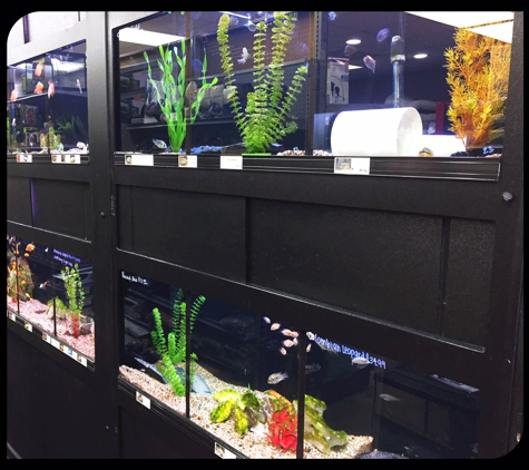 Tropical Fish & More Pet Supply - Boutte, LA