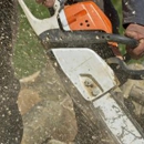 Silverado Tree Service - Stump Removal & Grinding