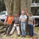 Joe's Tree Service - Arborists
