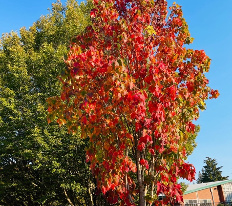 Thornton Creek School - Seattle, WA