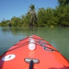 Yolo Board Adventures Sanibel gallery