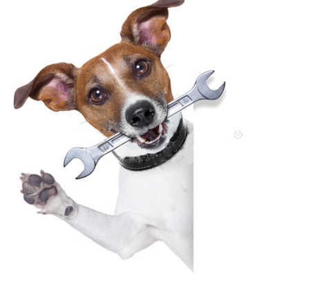 The Dog Mechanic - Orlando FL - Orlando, FL