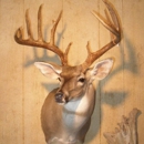 Artistic Wildlife Taxidermy - Taxidermists