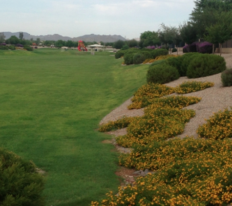 Mowing Works - Gilbert, AZ