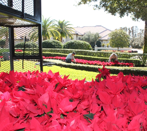 Flowerbomb Landscaping Inc - Windermere, FL