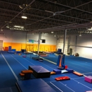 Professional Gymnastic Center - Gymnastics Instruction