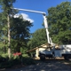 Bramlett's Tree Service