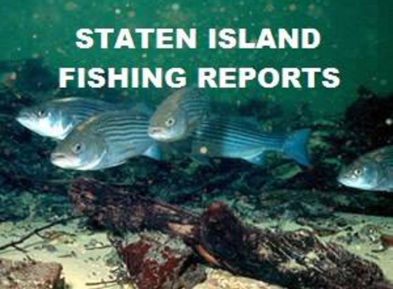 Staten Island Fishing Reports - Staten Island, NY