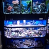 Saltwater Reef Shop Inc gallery
