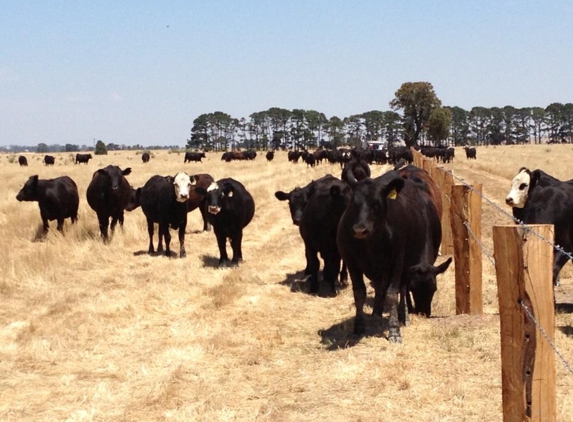 D & S Morgan Rural Fencing Pty Ltd - Enfield, VIC