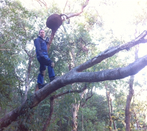 Ultra Pest Management - Springfield, NSW