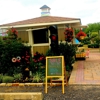 Wading River Nursery & Garden Supply gallery