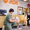 Banfield Pet Hospital gallery