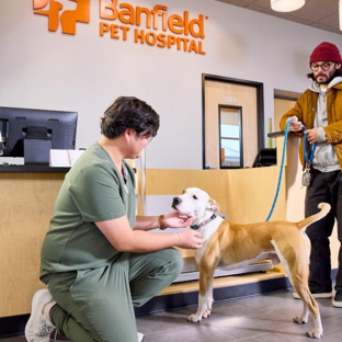 Banfield Pet Hospital - Jacksonville, FL
