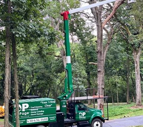 Dupage Tree Services - Elmhurst, IL