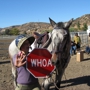 Hunter Valley Riding Academy