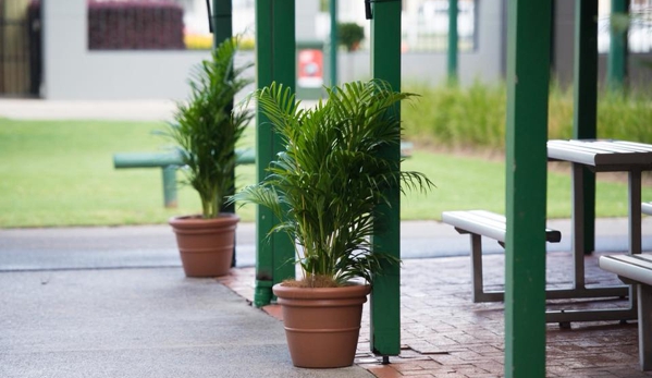 Jindalee Indoor Plant Service - Edgeworth, NSW