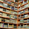 The Book Rack gallery