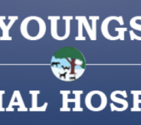 Youngs Animal Hospital - Johnson City, TN