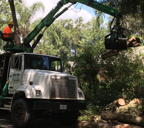 Tree Tech-Tree Service - Green Cove Springs, FL