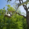 Paredes Landscaping gallery