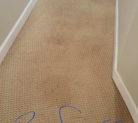 GREENCO2 Natural CO2 Based Carpet Cleaning System - Wyoming, MI