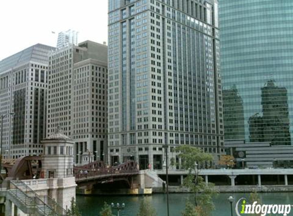 True Partners Consulting - Chicago, IL