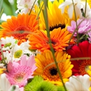 Watertown Floral - Florists