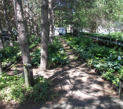 Halfen Garden Center And Hosta Heaven - Chippewa Falls, WI