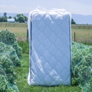 Rudy's Mattresses