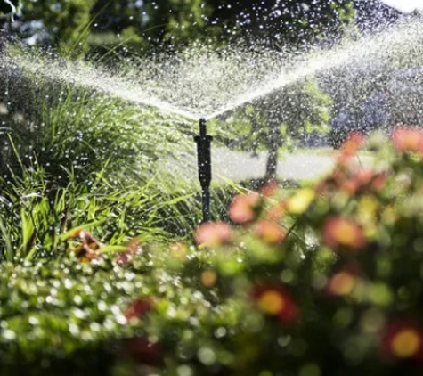 Cowboys Tree Service - San Antonio, TX