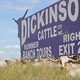 Dickinson Cattle Co